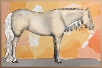 Horse Color:Silver Smoky Black Pearl