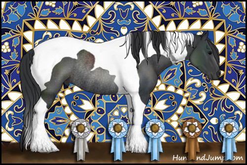 Horse Color:Black Tobiano Rabicano 