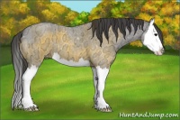 Horse Color:Grullo Ice Roan Sabino Splash Appaloosa