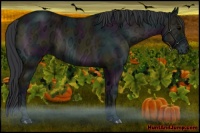 Horse Color:Midnight Blue Onyx Ice
