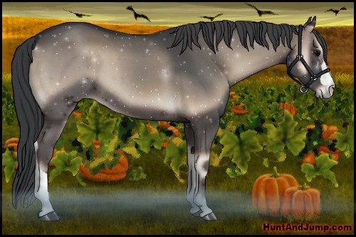 Horse Color:Blue Onyx