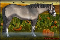 Horse Color:Blue Onyx 