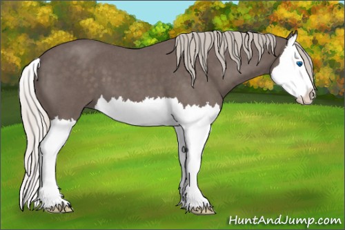 Horse Color:Silver Blue Roan Splash