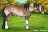 Horse Color:Brown Ice Onyx Tobiano