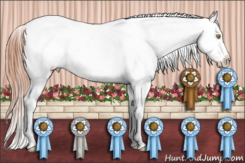 Horse Color:Sable Champagne Frame Varnish 
