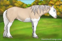 Horse Color:Silver Classic Champagne Dun Splash