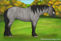 Horse Color:Gray Grullo Roan 