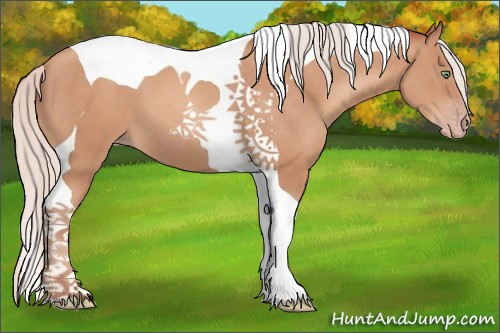 Horse Color:Silver Sable Champagne Tobiano 