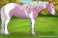 Horse Color:Watercolor Silver Blue Roan Splash Tobiano Appaloosa 