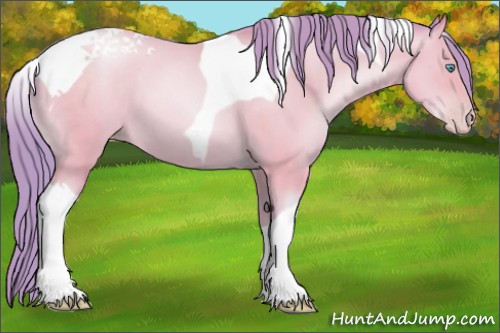 Horse Color:Watercolor Amber Cream Champagne Pearl Tobiano 