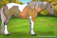 Horse Color:Watercolor Silver Black Tobiano Rabicano 
