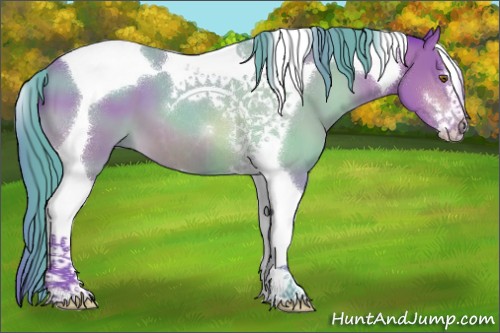 Horse Color:Watercolor Brown Sabino Tobiano 
