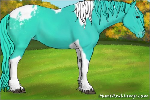 Horse Color:Watercolor Black Tobiano Appaloosa 
