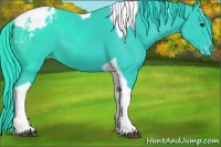 Horse Color:Watercolor Black Tobiano Appaloosa 