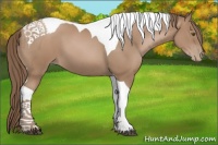 Horse Color:Black Pearl Tobiano 