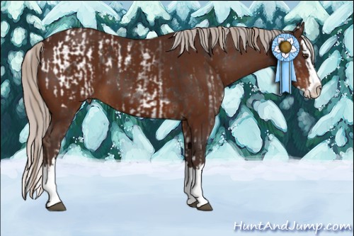 Horse Color:White Spotted Liver Chestnut Blanket  and Silver Bay Sabino Splash 