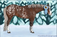 Horse Color:White Spotted Liver Chestnut Blanket and Silver Bay Sabino Splash