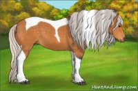 Horse Color:Silver Buckskin Tobiano
