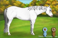 Horse Color:White Spotted Bay Splash Frame