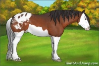 Horse Color:Brown Splash Varnish 