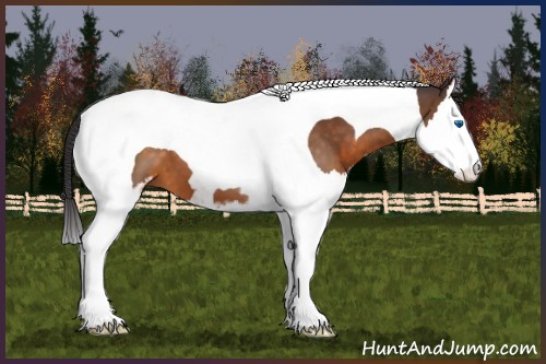 Horse Color:Buckskin Sabino Splash Tobiano