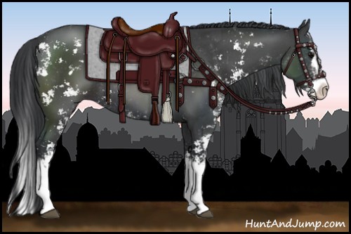 Horse Color:Black Sabino Splash Rabicano 