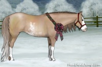 Horse Color:Black Pearl Sabino Splash Rabicano 