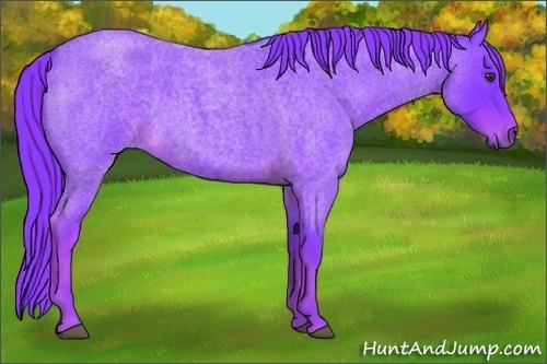 Horse Color:Watercolor Liver Red Roan 