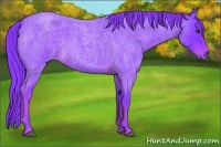 Horse Color:Watercolor Liver Red Roan 
