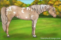 Horse Color:White Spotted Liver Chestnut Pearl Snowflake Varnish 