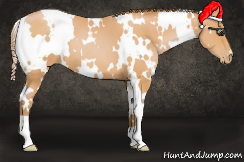 Horse Color:White Spotted Bay Pearl 