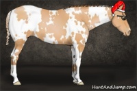 Horse Color:White Spotted Bay Pearl
