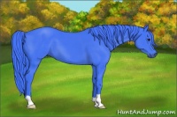 Horse Color:Watercolor Smoky Black 