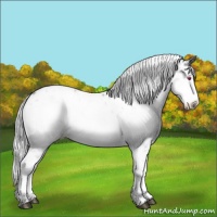 Horse Color:White Spotted Silver Bay Chinchilla Onyx Appaloosa
