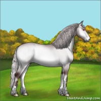 Horse Color:Chocolate Silver Brown Chinchilla Onyx Brindle 