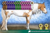 Horse Color:White Spotted Palomino Frame 