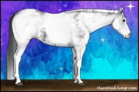 Horse Color:White Spotted Black