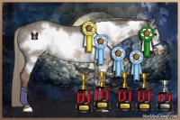 Horse Color:Liver Red Dun Frame Rabicano 