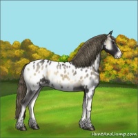 Horse Color:Smoky Blue Onyx Chinchilla Appaloosa 