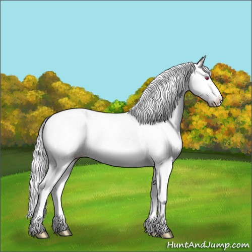 Horse Color:White Spotted Chocolate Silver Brown Chinchilla Onyx Appaloosa