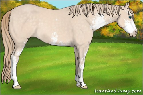 Horse Color:Perlino Sabino 