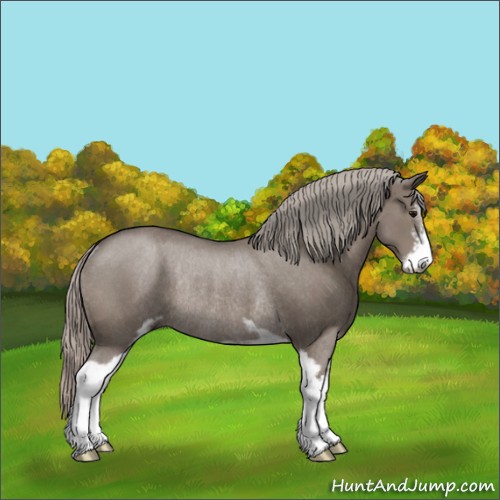 Horse Color:Silver Grullo Sabino Rabicano