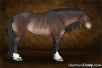 Horse Color:Brown Rabicano