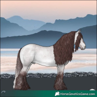 Horse Color:Chocolate Brown Chinchilla Roan Dun 