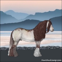 Horse Color:Platinum Chocolate Brown Roan Dun 
