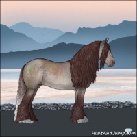 Horse Color:Platinum Chocolate Brown Roan Dun 
