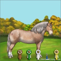 Horse Color:Silver Classic Champagne Snowflake Varnish
