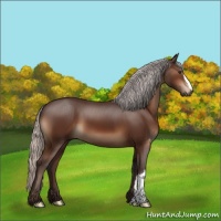Horse Color:Silver Brown 
