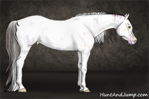 Horse Color:Sable Champagne Ice Tobiano Near Leopard 
