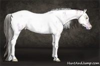 Horse Color:Sable Champagne Ice Tobiano Near Leopard 